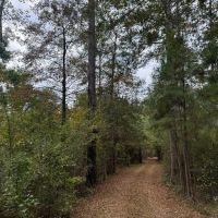 Land on the Tangipahoa River in Pike County MS images 3