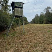Land on the Tangipahoa River in Pike County MS images 4