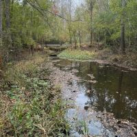 Land on the Tangipahoa River in Pike County MS images 5