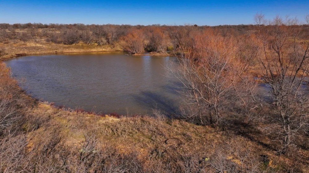 Newman Ranch featured image