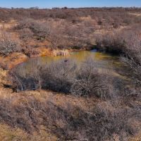 Newman Ranch images 4