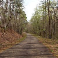 10130 Acres Dawson Forest City of Atlanta Tract Deer hunting in Dawson, GA images 2