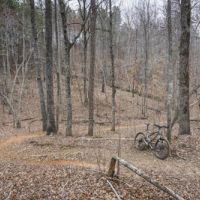 10130 Acres Dawson Forest City of Atlanta Tract Deer hunting in Dawson, GA images 3