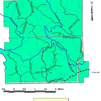 10130 Acres Dawson Forest City of Atlanta Tract Deer hunting in Dawson, GA
