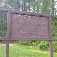 10130 Acres Dawson Forest City of Atlanta Tract Deer hunting in Dawson, GA images 6