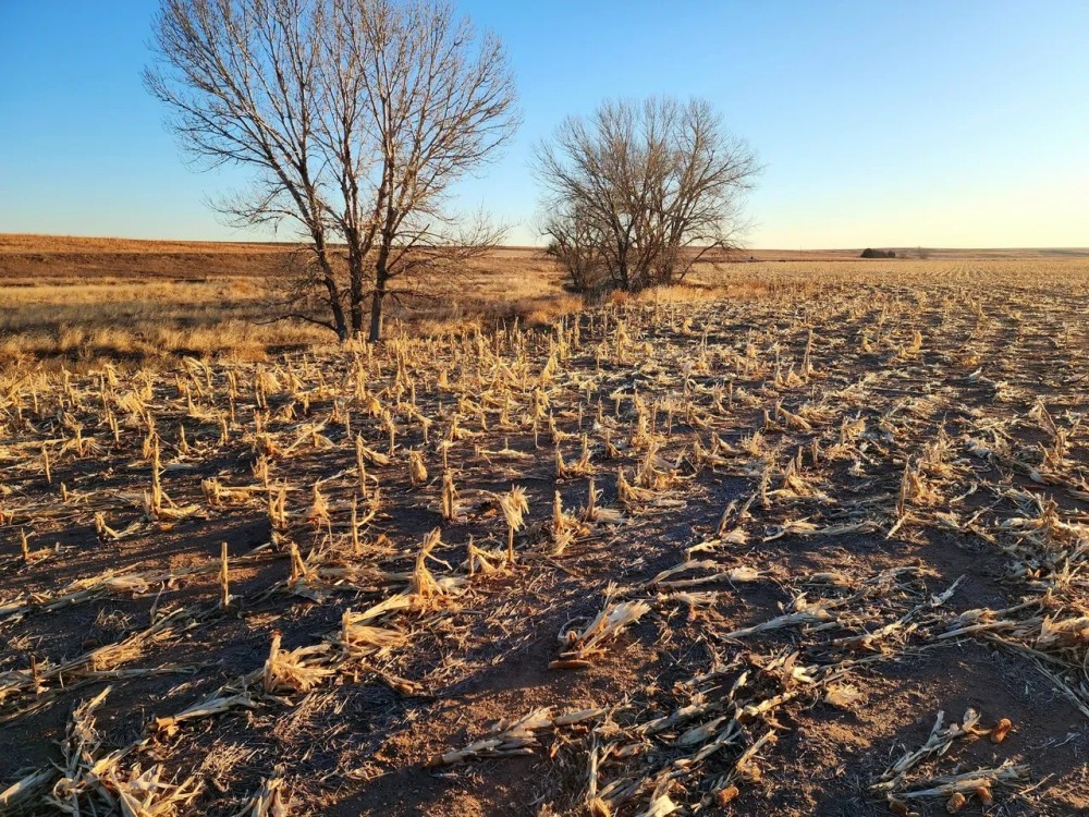 Combination Property with Income Hunting Opportunities featured image