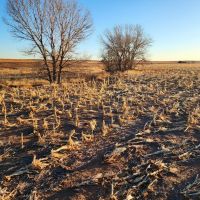 Combination Property with Income Hunting Opportunities