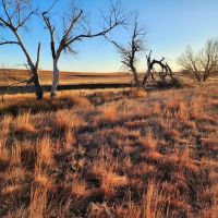 Combination Property with Income Hunting Opportunities images 2