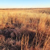 Combination Property with Income Hunting Opportunities images 3