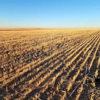 Combination Property with Income Hunting Opportunities images 4