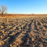 Combination Property with Income Hunting Opportunities images 5