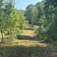 31 Acres with Frontage on the Chattooga River in Walker County GA images 2