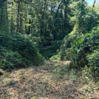 31 Acres with Frontage on the Chattooga River in Walker County GA images 4