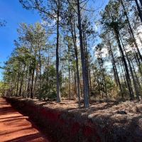 Little Sandy Hill Creek images 4