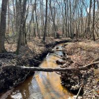 Little Sandy Hill Creek images 5