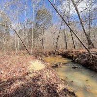 Winston County 149 - acres Recreational and Timber Tract