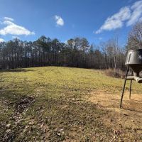 Winston County 149 - acres Recreational and Timber Tract images 2