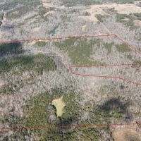 Winston County 149 - acres Recreational and Timber Tract images 3
