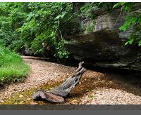 12,054 acres Hobbs State Park Turkey Hunting Land in Rogers, AR images 5