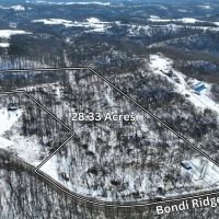 Auction - Bondi Ridge Rd. - 28.3 Acres images 5