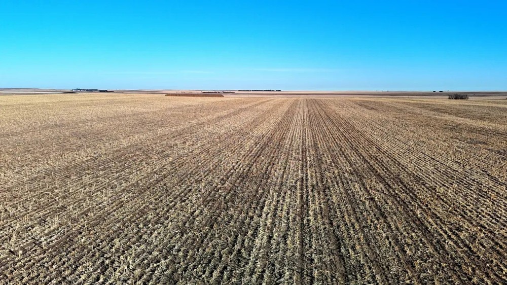 Deuel County Tillable Cropland with Mostly Class II Soils featured image