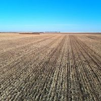 Deuel County Tillable Cropland with Mostly Class II Soils