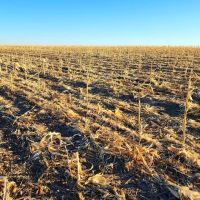 Deuel County Tillable Cropland with Mostly Class II Soils images 2
