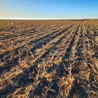 Deuel County Tillable Cropland with Mostly Class II Soils images 3
