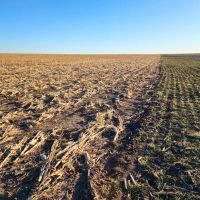 Deuel County Tillable Cropland with Mostly Class II Soils images 5