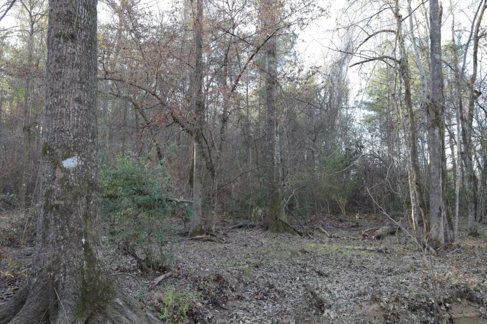 LA - Caldwell 21 acres - featured image