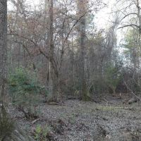 LA - Caldwell 21 acres -