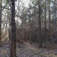 LA - Caldwell 21 acres - images 2