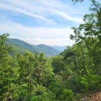 30 - Unrestricted Acres With Big Views From Home Site images 3