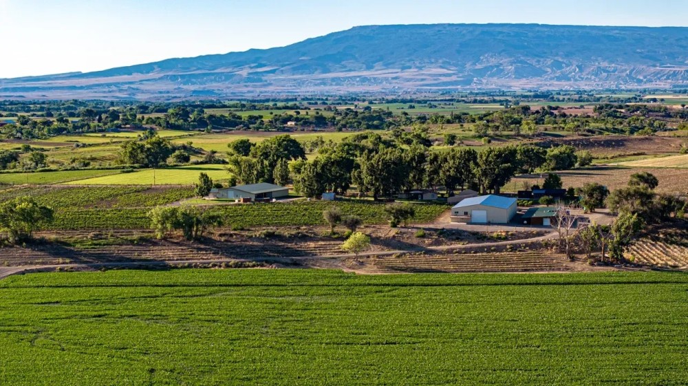 Berkeley Estates Vineyard Winery featured image