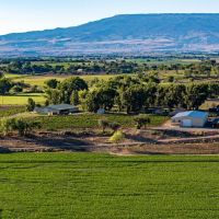 Berkeley Estates Vineyard Winery