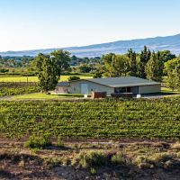 Berkeley Estates Vineyard Winery images 3