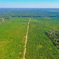 323 Acres FM 1010 images 2