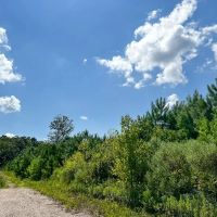 323 Acres FM 1010 images 3