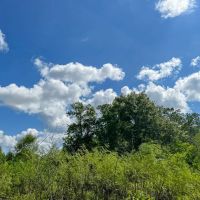 323 Acres FM 1010 images 5