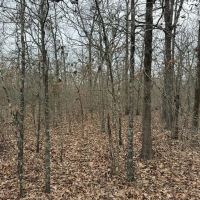 00 PR 45615 Blossom TX 75416 images 3