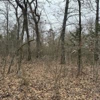 00 PR 45615 Blossom TX 75416 images 4