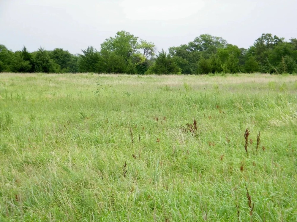 20 Acre Pasture or Homesite featured image