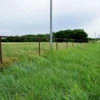 20 Acre Pasture or Homesite images 4