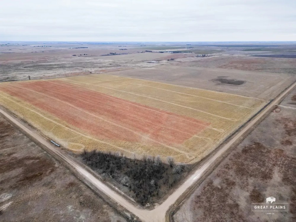 Online Auction Ends March 4th 11 00am Meade Co. Tillable Acres featured image