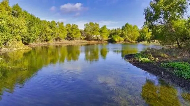 Lopez Ranch - Hunting Land for Sale - HuntingLocator.com ...