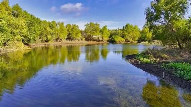 Lopez Ranch featured image