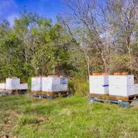 Lopez Ranch images 3