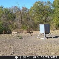 Lopez Ranch images 4