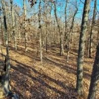 Heller s Hideaway images 4