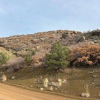 TBD Primero Ranch Rd Weston CO 81091